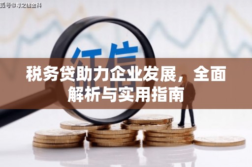 宣威税务贷助力企业发展，全面解析与实用指南