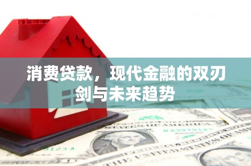 宣威消费贷款，现代金融的双刃剑与未来趋势