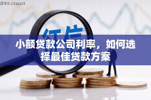 宣威小额贷款公司利率，如何选择最佳贷款方案