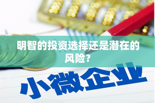 宣威明智的投资选择还是潜在的风险？