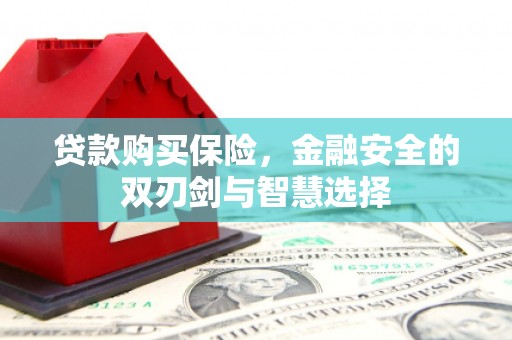 宣威贷款购买保险，金融安全的双刃剑与智慧选择