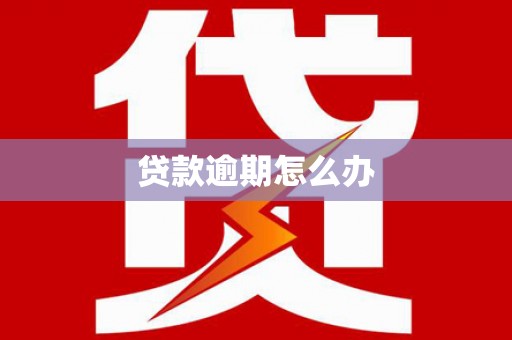 宣威贷款逾期怎么办