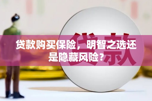 宣威贷款购买保险，明智之选还是隐藏风险？