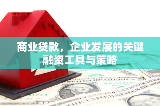宣威商业贷款，企业发展的关键融资工具与策略