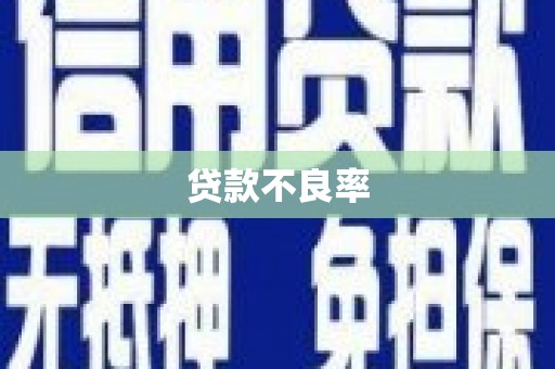 宣威贷款不良率
