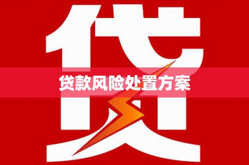 宣威贷款风险处置方案