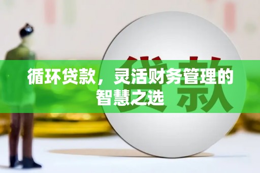 宣威循环贷款，灵活财务管理的智慧之选