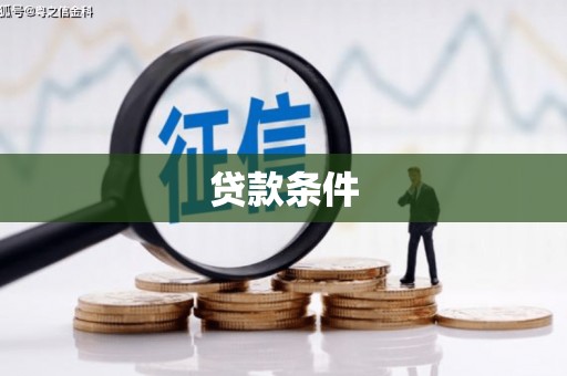 宣威贷款条件