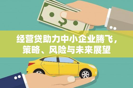 宣威经营贷助力中小企业腾飞，策略、风险与未来展望