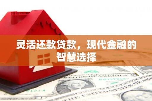 宣威灵活还款贷款，现代金融的智慧选择
