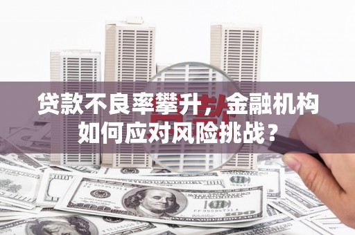 宣威贷款不良率攀升，金融机构如何应对风险挑战？