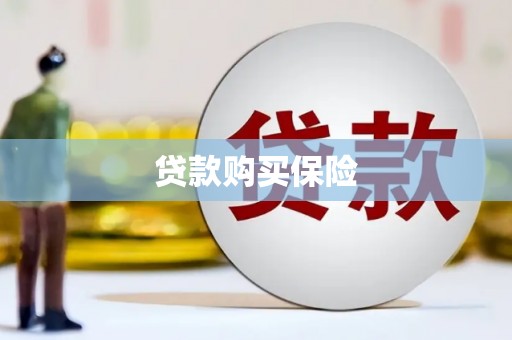 宣威贷款购买保险