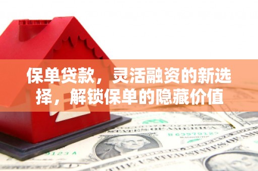 宣威保单贷款，灵活融资的新选择，解锁保单的隐藏价值