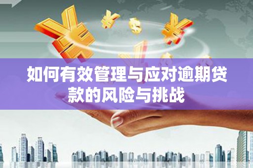 宣威如何有效管理与应对逾期贷款的风险与挑战