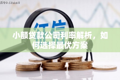 宣威小额贷款公司利率解析，如何选择最优方案