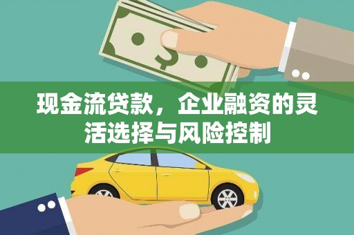 宣威现金流贷款，企业融资的灵活选择与风险控制