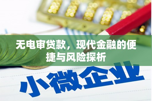 宣威无电审贷款，现代金融的便捷与风险探析