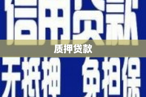 宣威质押贷款