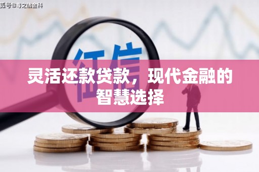 宣威灵活还款贷款，现代金融的智慧选择