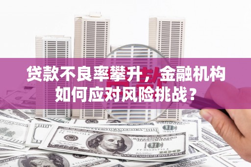 宣威贷款不良率攀升，金融机构如何应对风险挑战？