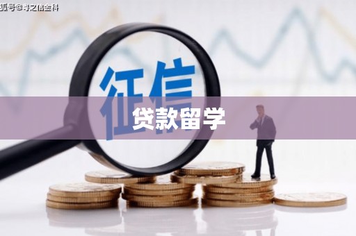 宣威贷款留学