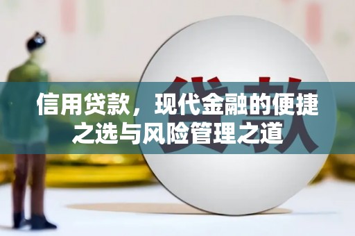 宣威信用贷款，现代金融的便捷之选与风险管理之道