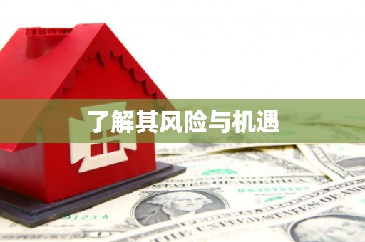 宣威了解其风险与机遇