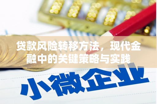 宣威贷款风险转移方法，现代金融中的关键策略与实践