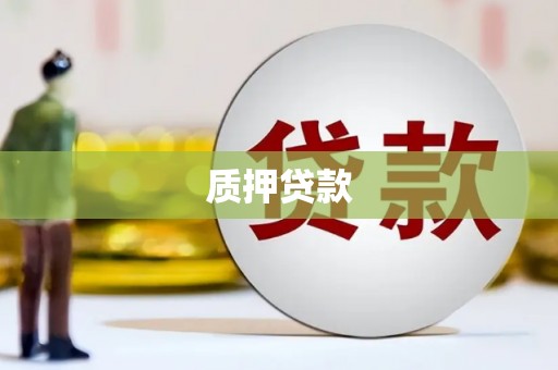 宣威质押贷款