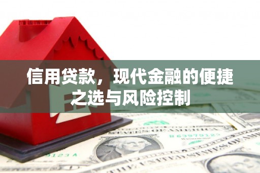 宣威信用贷款，现代金融的便捷之选与风险控制