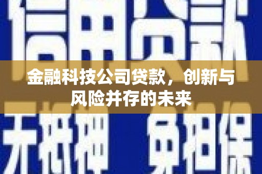 宣威金融科技公司贷款，创新与风险并存的未来