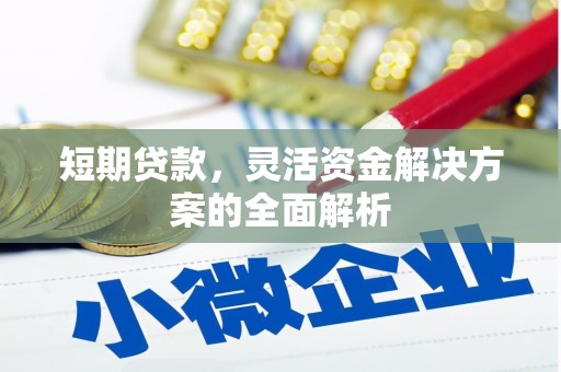 宣威短期贷款，灵活资金解决方案的全面解析