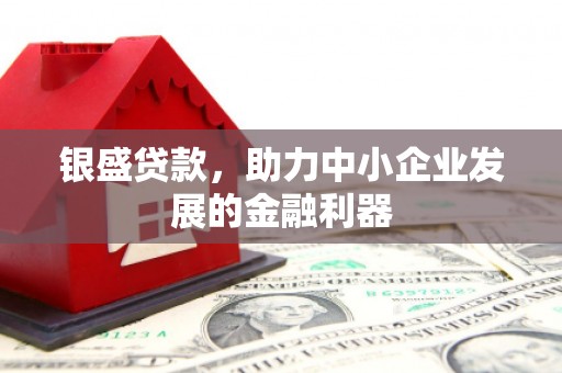 宣威银盛贷款，助力中小企业发展的金融利器