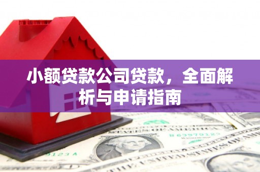 宣威小额贷款公司贷款，全面解析与申请指南