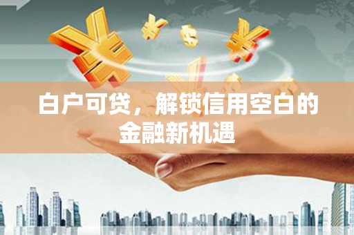 宣威白户可贷，解锁信用空白的金融新机遇
