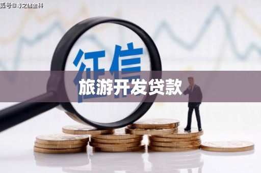宣威旅游开发贷款