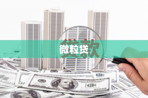 宣威微粒贷