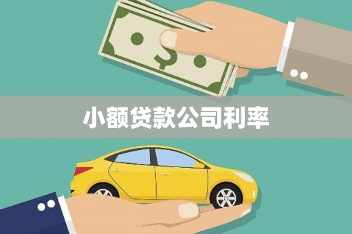 宣威小额贷款公司利率