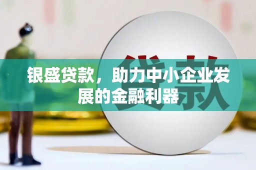 宣威银盛贷款，助力中小企业发展的金融利器