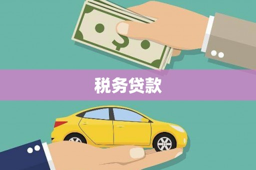 宣威税务贷款