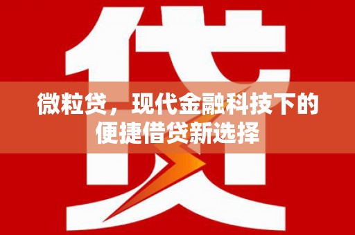 宣威微粒贷，现代金融科技下的便捷借贷新选择