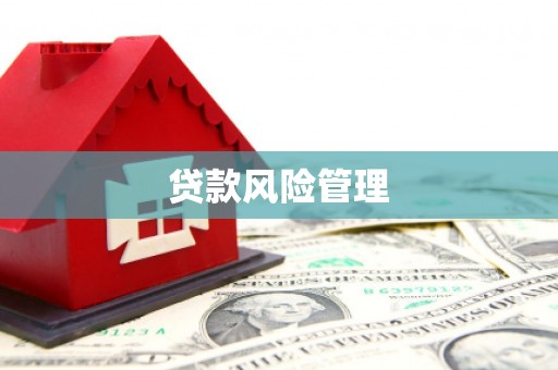宣威贷款风险管理