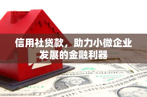 宣威信用社贷款，助力小微企业发展的金融利器