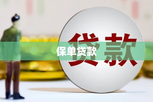 宣威保单贷款