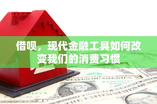 宣威借呗，现代金融工具如何改变我们的消费习惯