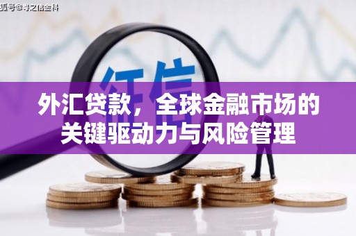 宣威外汇贷款，全球金融市场的关键驱动力与风险管理