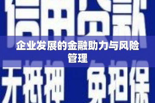 宣威企业发展的金融助力与风险管理