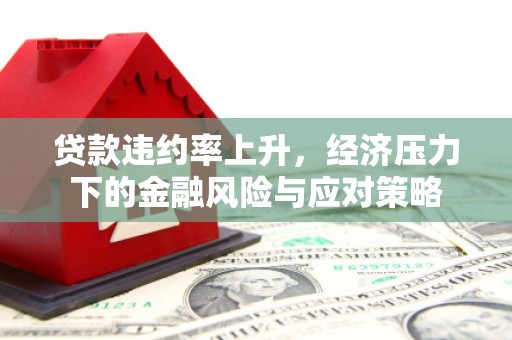 宣威贷款违约率上升，经济压力下的金融风险与应对策略