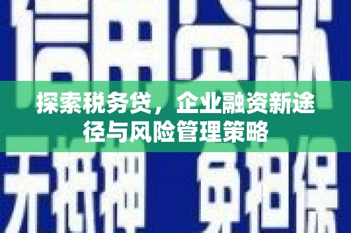 宣威探索税务贷，企业融资新途径与风险管理策略