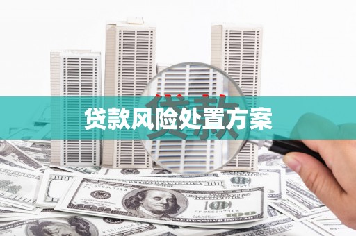 宣威贷款风险处置方案